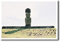 �A�t�E�R�e���N