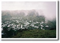 ���m�E�J�E