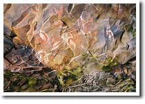 �A�i�E�J�C�E�^���K�^