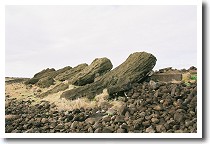 �A�t�E�n���K�E�e�G