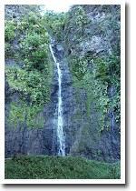 �t�@�A���}�C�̑�