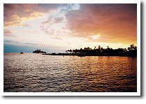 �J�C���A�V���̗[�z