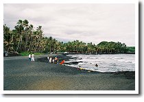 �����C��