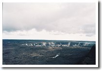 �n���}�E�}�E�Ό�