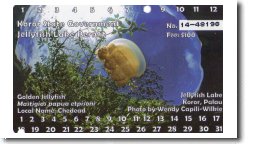 �W�F���[�t�B�b�V�����C�N����