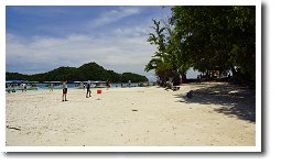 �K�����A�E�X��