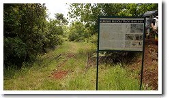 �g���b�R��