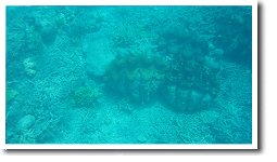 �N�����V�e�B