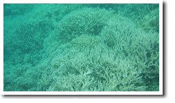 �t�@���^�W�[